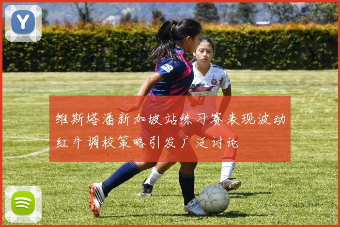 维斯塔潘新加坡站练习赛表现波动红牛调校策略引发广泛讨论
