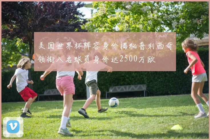 美国世界杯阵容身价揭秘普利西奇领衔八名球员身价达2500万欧